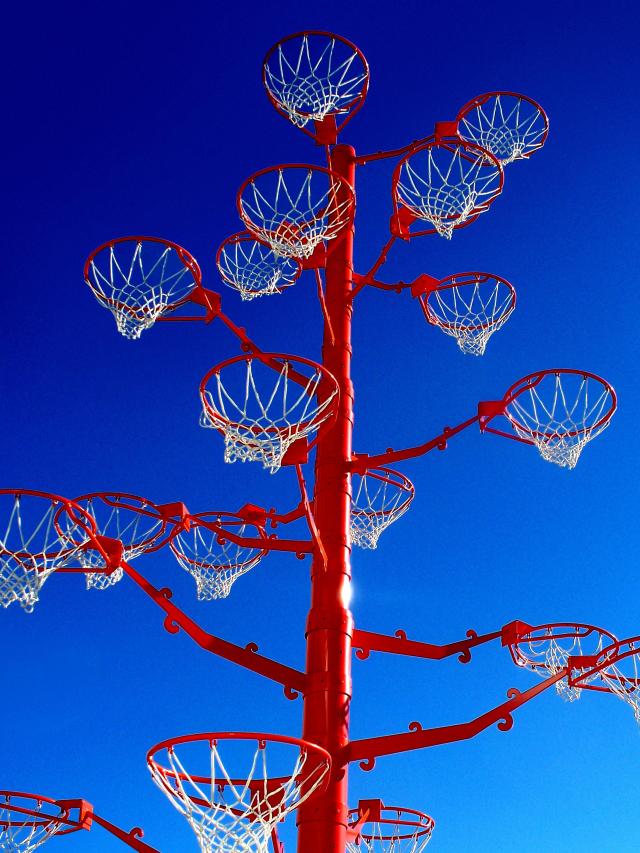 The famed Madrid Basketball 'shoot some hoops with us' tree. 
